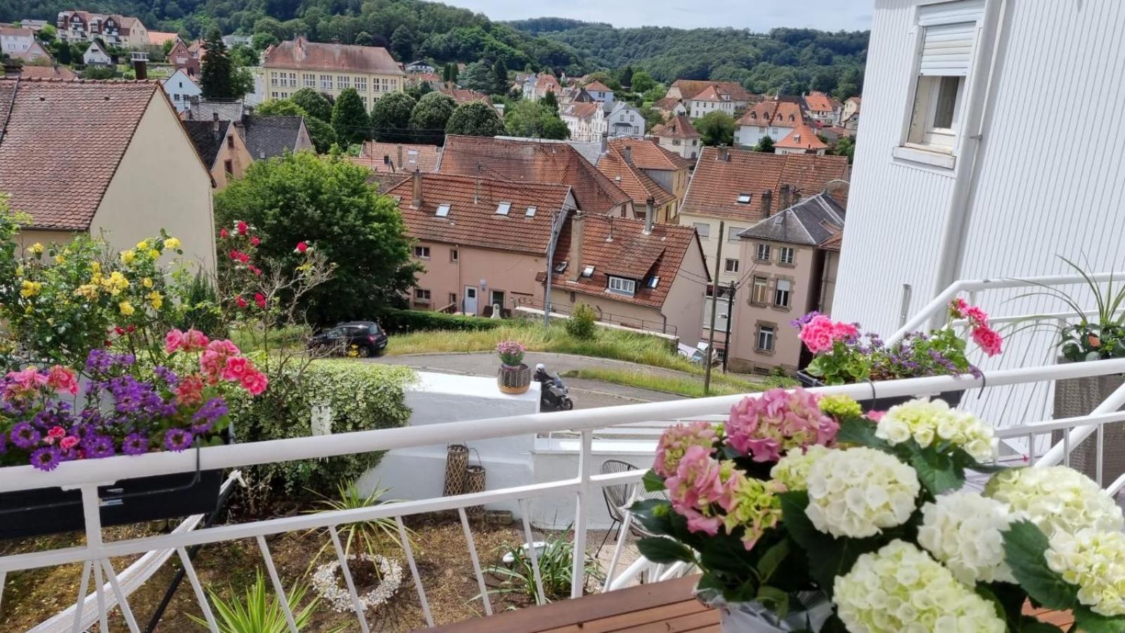 Vila Le Temps Suspendu Bitche Exteriér fotografie